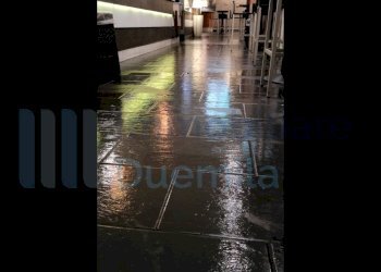 IMMAGINE07-ink.jpeg - Cafeteria - Cold Bar Bologna (neighborhood Centro Storico) - photo 7
