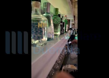 IMMAGINE08-ink.jpeg - Cafeteria - Cold Bar Bologna (neighborhood Centro Storico) - photo 8