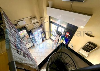 IMMAGINE18-ink.jpeg - Tabaccheria Bologna (zona Saragozza) - foto 18
