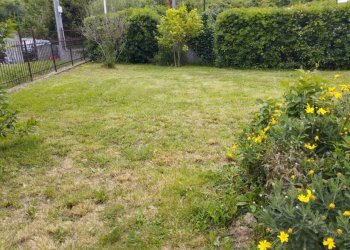 giardino privato - Three-room apartment Andora - photo 12