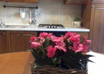 IMG-20231228-WA0004.jpg - Townhouse Viareggio - photo 8