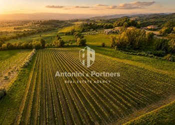 casale con vigneto montefalco 52 - Casale Località Turri, Montefalco - foto 7