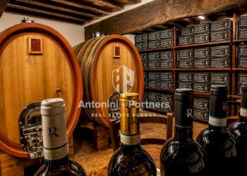 casale con vigneto montefalco 47 - Casale Località Turri, Montefalco - foto 21