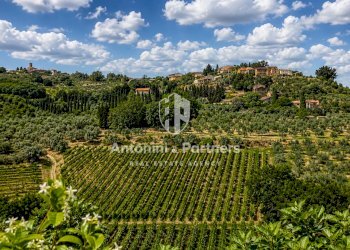 casale con vigneto montefalco 38 - Casale Località Turri, Montefalco - foto 22