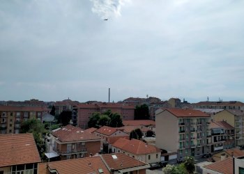 IMG20260625164108 - Bilocale Via Bernardino Luini 131 bis, Torino - foto 10