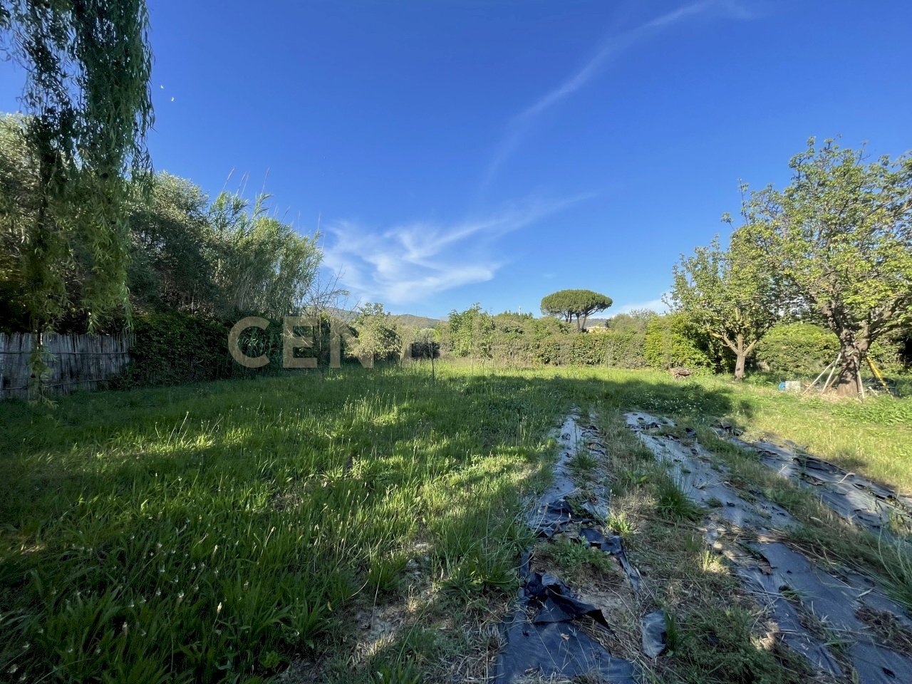 IMG_7783 - Agricultural land Via di Cameretta, Orbetello - photo 2