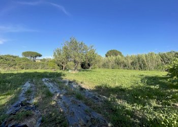 IMG_7782 - Agricultural land Via di Cameretta, Orbetello - photo 1