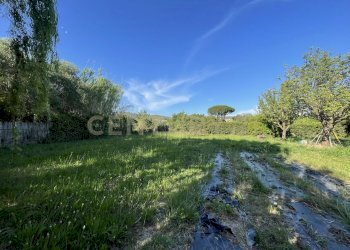 IMG_7783 - Agricultural land Via di Cameretta, Orbetello - photo 2