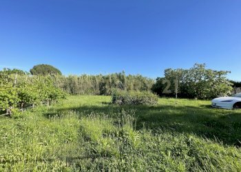 IMG_7785(1) - Agricultural land Via di Cameretta, Orbetello - photo 4