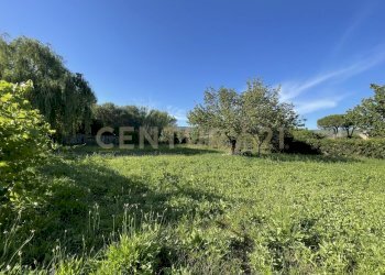 IMG_7789 - Agricultural land Via di Cameretta, Orbetello - photo 6