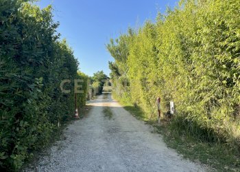 IMG_7793 - Agricultural land Via di Cameretta, Orbetello - photo 11