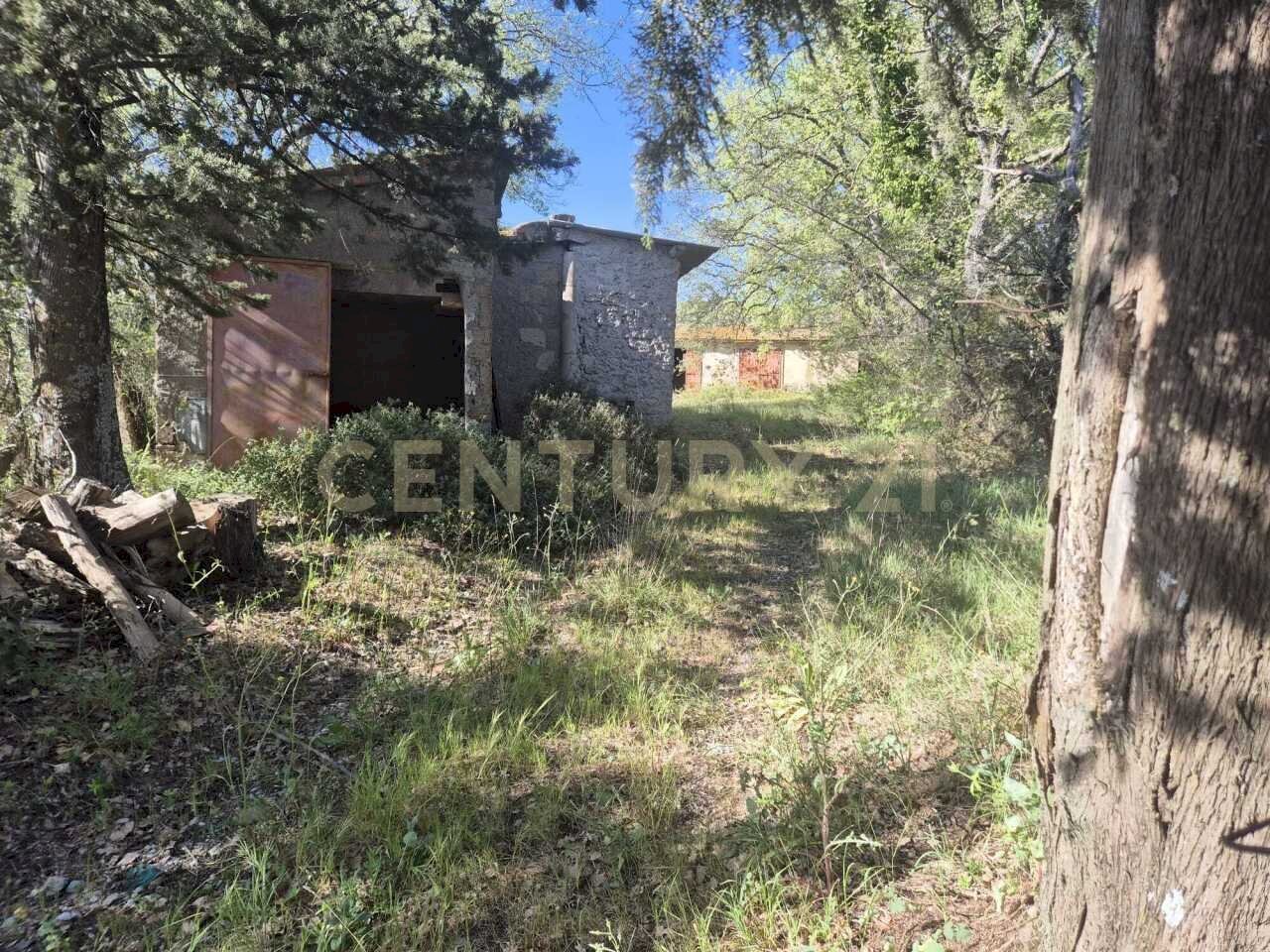 annessi  diruti 2 - Rustico località poggi del sasso snc, Cinigiano - foto 1
