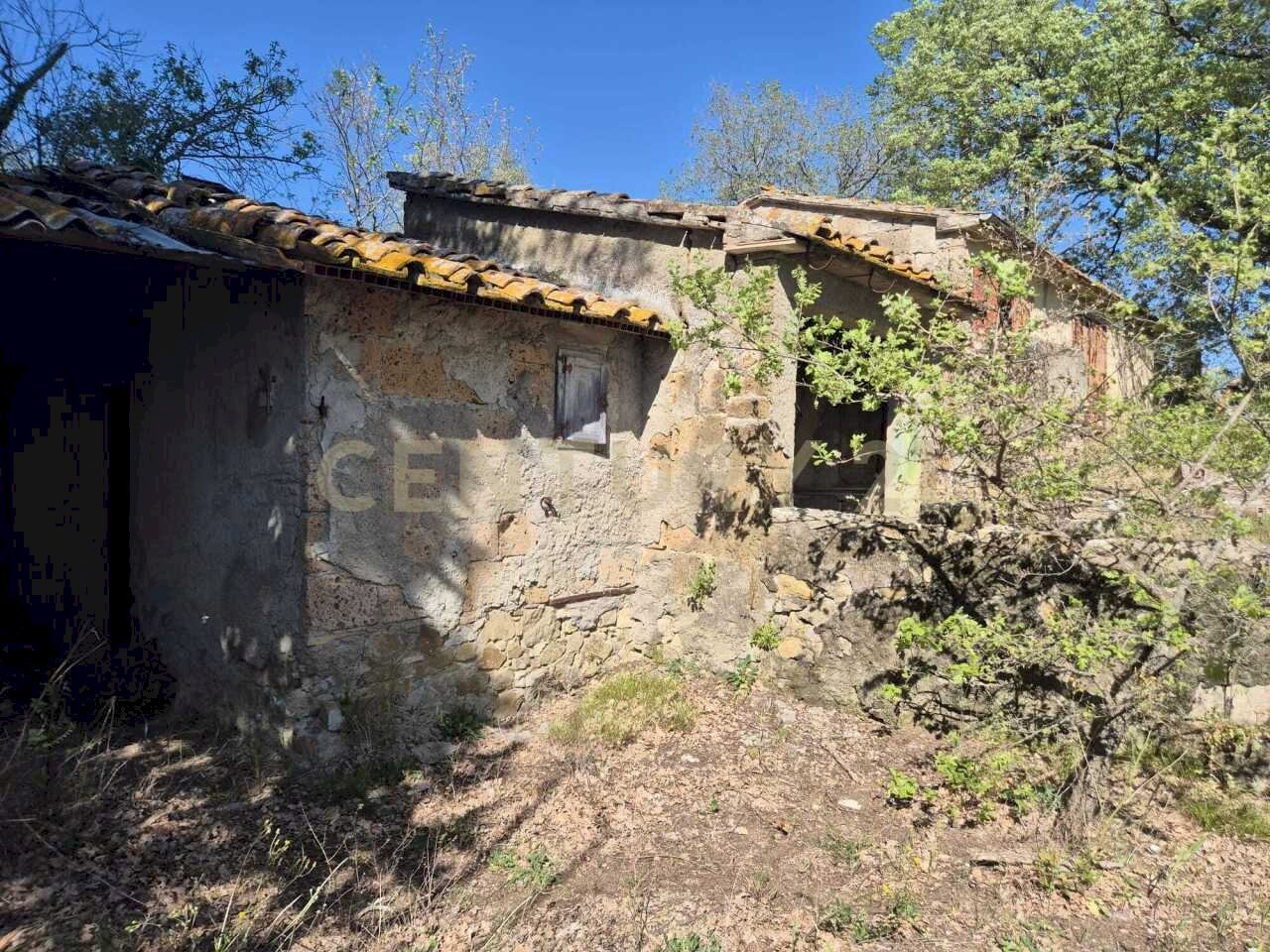annessi diruti - Rustico località poggi del sasso snc, Cinigiano - foto 3