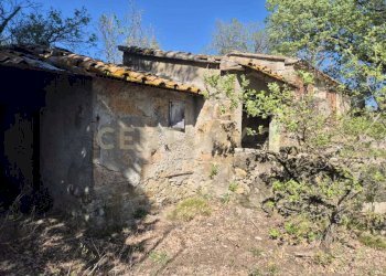 annessi diruti - Rustico località poggi del sasso snc, Cinigiano - foto 3