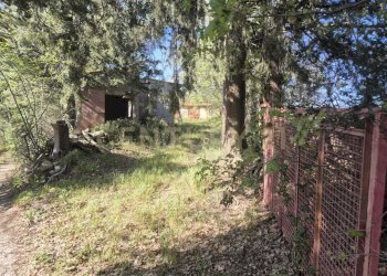 cancello di accesso - Rustico località poggi del sasso snc, Cinigiano - foto 7