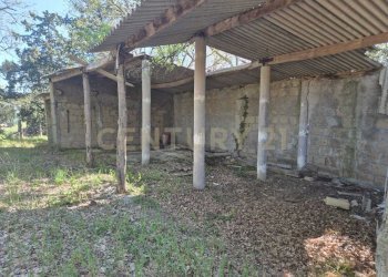 fienile - Rustico località poggi del sasso snc, Cinigiano - foto 10