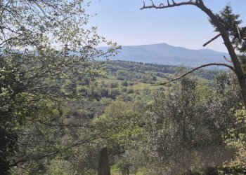 panorama - Rustico località poggi del sasso snc, Cinigiano - foto 11
