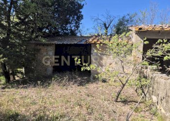 porzione di annesso - Rustico località poggi del sasso snc, Cinigiano - foto 12