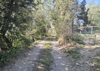 strada bianca di accesso - Rustico località poggi del sasso snc, Cinigiano - foto 13