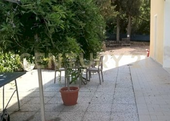 IMG20260622170447 - Casale località Sant'Andrea  17, Gavorrano - foto 5