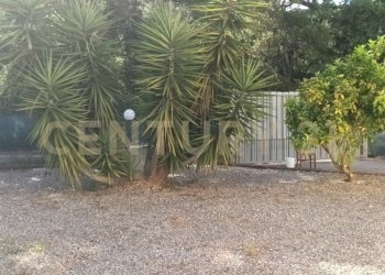 IMG20260622170512 - Casale località Sant'Andrea  17, Gavorrano - foto 7