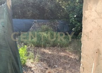 IMG20260622170610 - Casale località Sant'Andrea  17, Gavorrano - foto 9