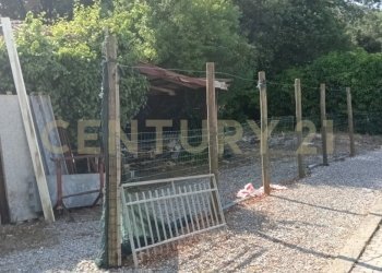 IMG20260622170953 - Casale località Sant'Andrea  17, Gavorrano - foto 14