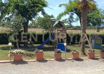 IMG20260612111943 - Casale SR74 148, Orbetello - photo 2