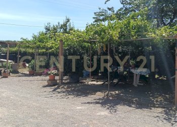 IMG20260612111936 - Casale SR74 148, Orbetello - photo 6