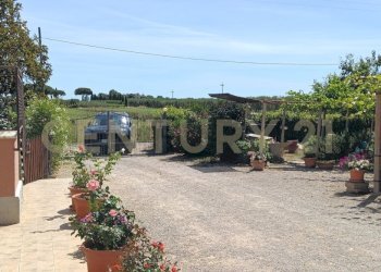 IMG20260612111939 - Casale SR74 148, Orbetello - photo 11