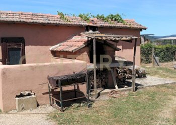 IMG20260612112023 - Casale SR74 148, Orbetello - photo 14