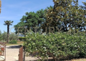 IMG20260612112333 - Casale SR74 148, Orbetello - photo 17