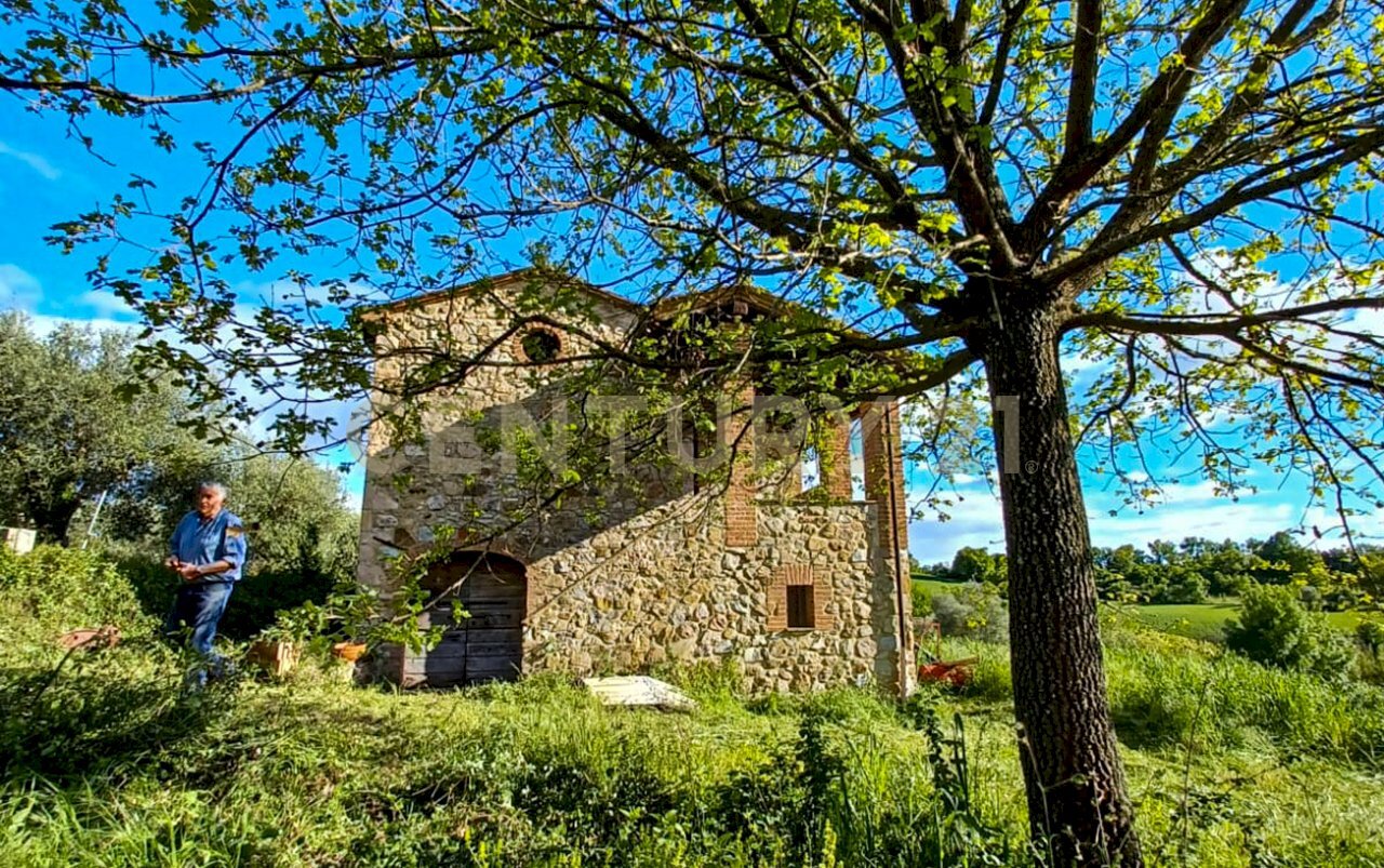 podere LA vena-2 - Casale località podere la vena  20, Civitella Paganico - photo 2