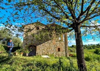 podere LA vena-2 - Casale località podere la vena  20, Civitella Paganico - photo 2