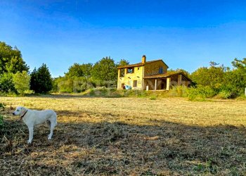 podere LA vena-6 - Casale località podere la vena  20, Civitella Paganico - photo 6