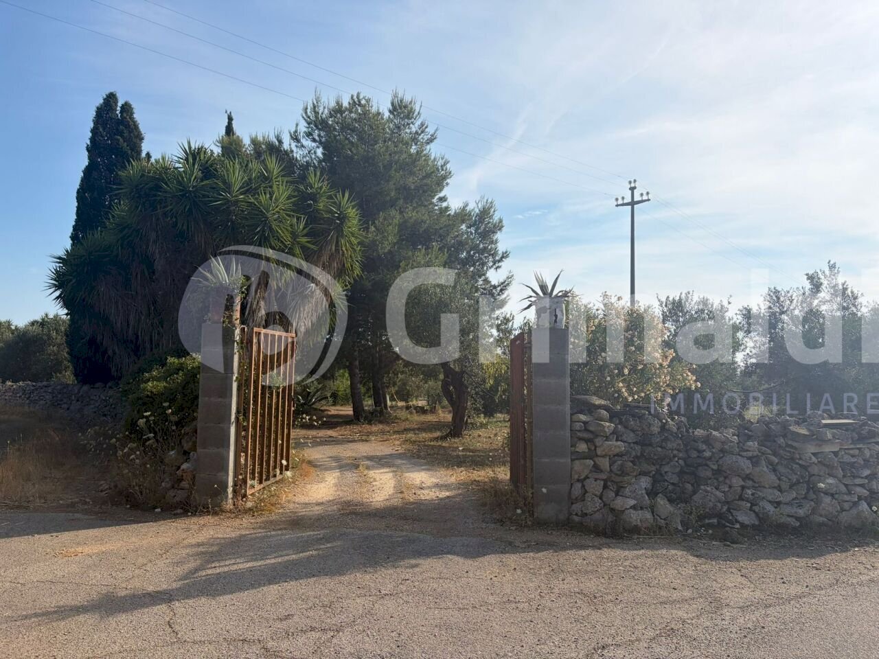 WhatsApp Image 2026-06-25 at 18.50.15_risultato - Terreno agricolo Contrada Coline, Alezio - foto 2