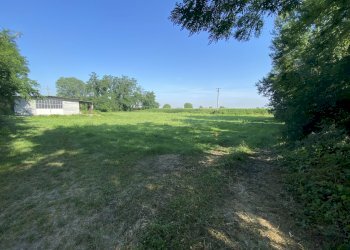 IMG_2310 - Shed Via Papa Giovanni XXIII' 4A, Caselle Landi - photo 5