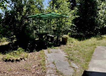 IMG20260618154703 - Villa Sanremo - photo 2