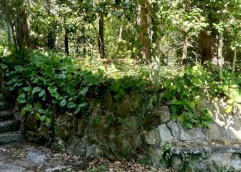 IMG20260618154644 - Villa Sanremo - photo 4
