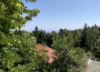 IMG20260618154419 - Villa Sanremo - photo 8