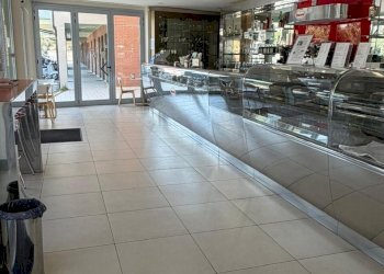 1782745576.jpg - Bar Tavola Calda - Fredda Senigallia - foto 1