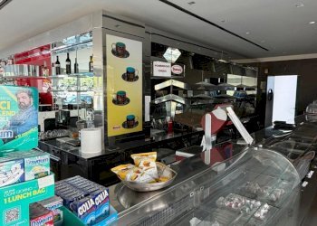 1782745580.jpg - Bar Tavola Calda - Fredda Senigallia - foto 4