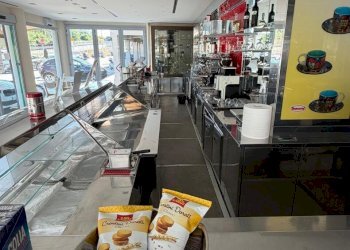 1782745581.jpg - Bar Tavola Calda - Fredda Senigallia - foto 5