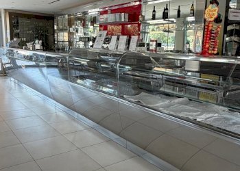 1782745583.jpg - Bar Tavola Calda - Fredda Senigallia - foto 7