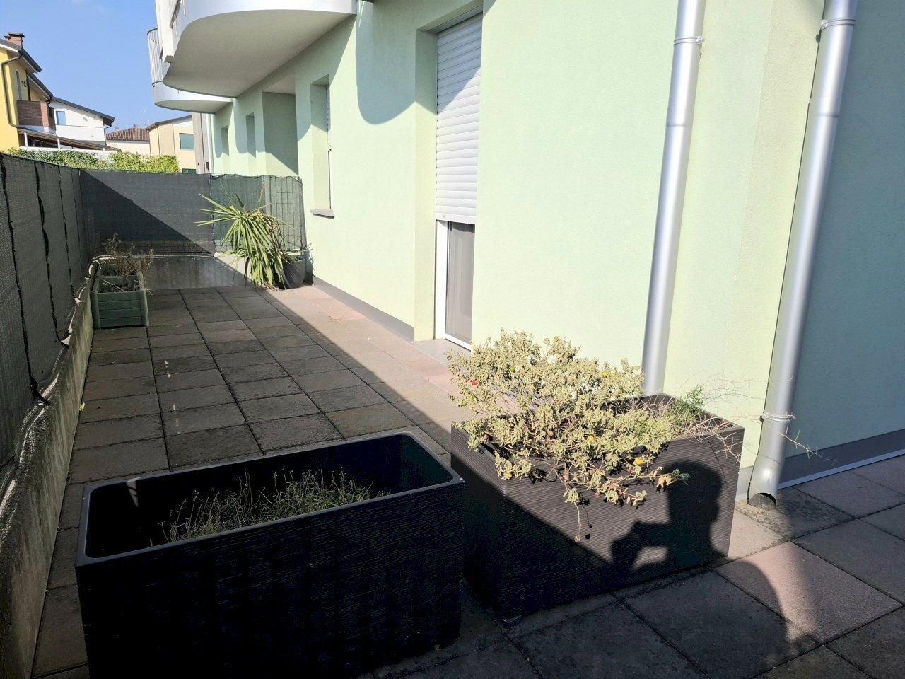 20260625_180648 - Four-room apartment Via Carlo Forlanini 55, Rovigo - photo 3