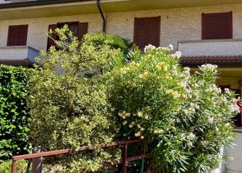 image00040 - Independent house Via Filippo Beltrame 20, Vimodrone - photo 21