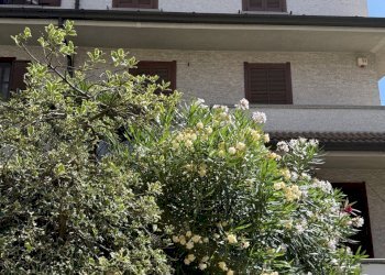image00048 - Independent house Via Filippo Beltrame 20, Vimodrone - photo 26
