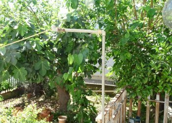 Esterno - Villa Via delle Albicocche 17, Catania - foto 3