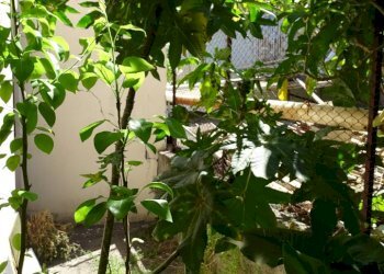 Esterno - Villa Via delle Albicocche 17, Catania - foto 15