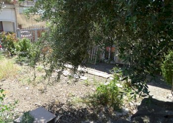 Esterno - Villa Via delle Albicocche 17, Catania - foto 18